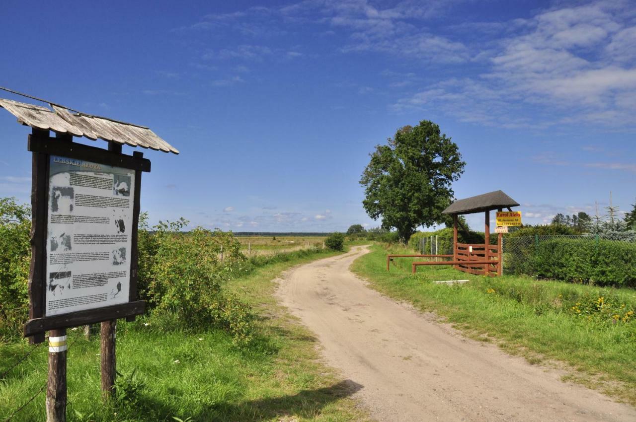 Homebaltic Леба Екстер'єр фото